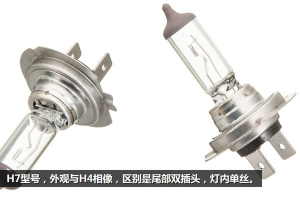 燈泡型號(hào)種類(lèi)多 高亮度高穿透各有所長(zhǎng)