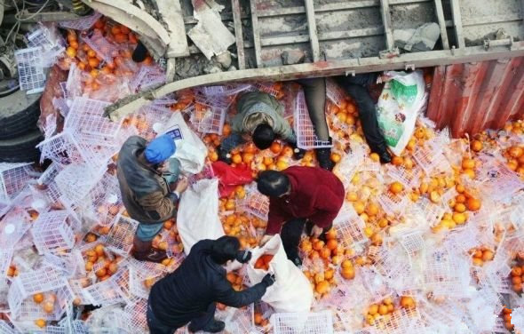 哄搶是無知還是無畏 拿起法律武器維權