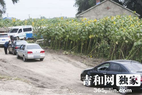 小车5元大车10元 山寨收费站日进斗金