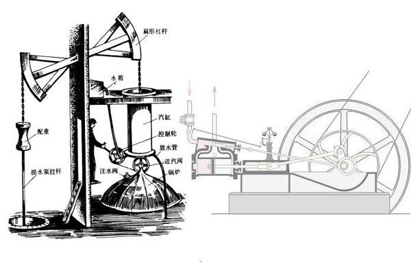 丑小鴨變天鵝