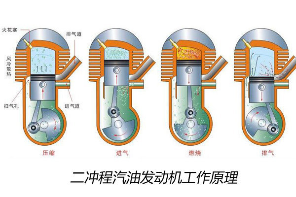 丑小鴨變天鵝