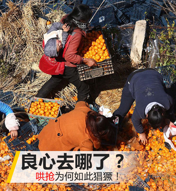 良心去哪了！ '哄抢'为何如此的猖獗？